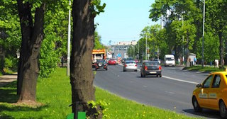 Посадка деревьев и кустарников в Полевской — стоимость от 1232 руб.